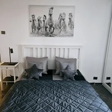 Apartament Cismigiu *