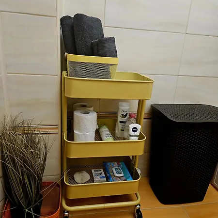 Cismigiu Apartament *