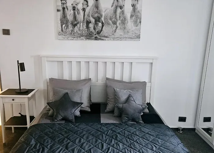 Lägenhet Cismigiu *